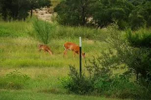 12516 Wire Rd, Leander, TX 78641 - Photo 31