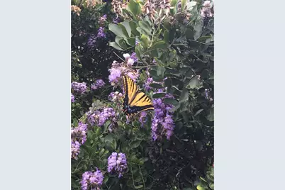 12516 Wire Road, Leander, TX 78641 - Photo 35