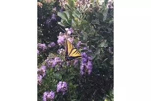 12516 Wire Rd, Leander, TX 78641 - Photo 35