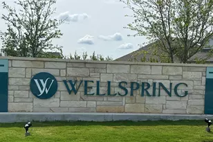 8534 Wellspring Loop, Round Rock, TX 78665 - Photo 29
