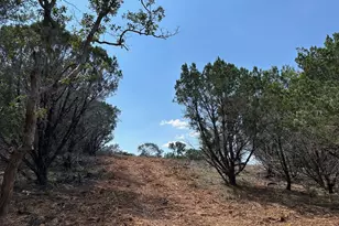 105 Winding River Rd, Kempner, TX 76539 - Photo 9