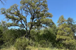 105 Winding River Rd, Kempner, TX 76539 - Photo 5