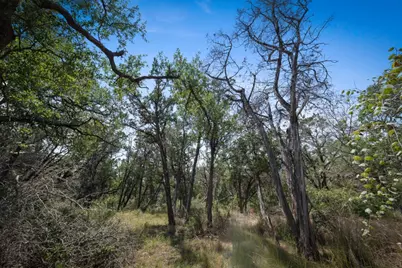 501 Limestone Lane, Driftwood, TX 78619 - Photo 5