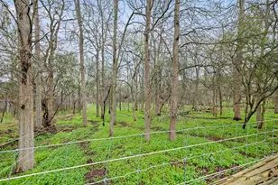 175 Fawn Ridge Rd, Cedar Creek, TX 78612 - Photo 27