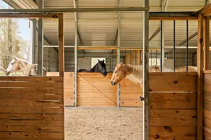 175 Fawn Ridge Rd, Cedar Creek, TX 78612 - Photo 9