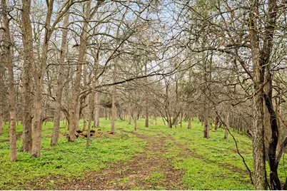 175 Fawn Ridge Road, Cedar Creek, TX 78612 - Photo 33