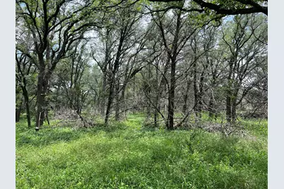 Tbd Lot Pt 19 Narrows Road, Blanco, TX 78606 - Photo 7