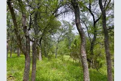 Tbd Lot Pt 19 Narrows Road, Blanco, TX 78606 - Photo 5