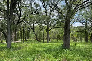 Tbd Lot Pt 19 Narrows Rd, Blanco, TX 78606 - Photo 1