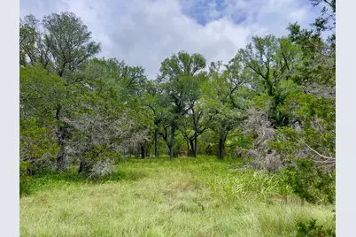 Tbd Lot Pt 19 Narrows Road, Blanco, TX 78606 - Photo 3