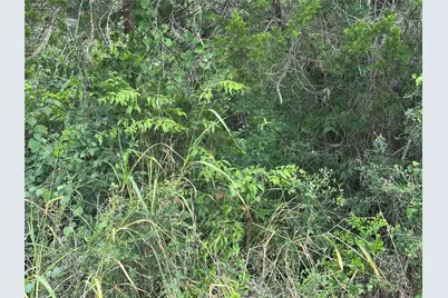 Lot 7 Green Valley Drive, Bastrop, TX 78602 - Photo 7
