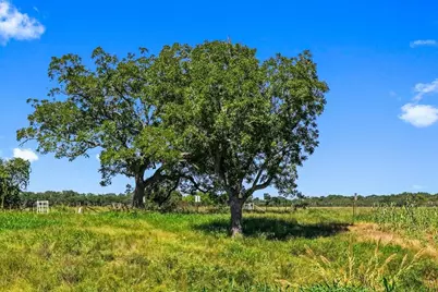 440 Chimney Valley Road, Blanco, TX 78606 - Photo 3