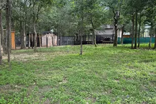 401 Ride Out Blvd, Elgin, TX 78621 - Photo 11