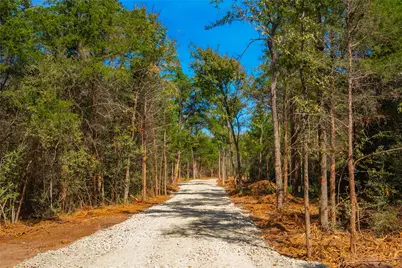 12582 Red Hill Road, Hearne, TX 77859 - Photo 3