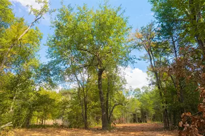 12582 Red Hill Road, Hearne, TX 77859 - Photo 7