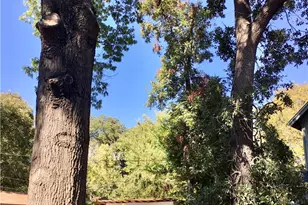 1806 Haskell, Austin, TX 78702 - Photo 3