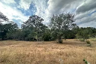 Abs A33 Gazley Thomas J Fm 535 Roads, Smithville, TX 78957 - Photo 1