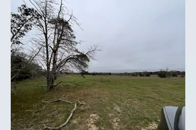 Tbd Cedar Rock Road, Rosanky, TX 78953 - Photo 15