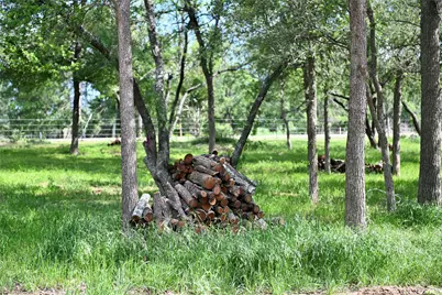 Lot 5 Valley Creek Drive, Cedar Creek, TX 78612 - Photo 7