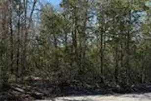 Lot 539 Iva Ln, Bastrop, TX 78602 - Photo 1