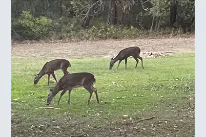 13500 Copper Hills Drive, Manchaca, TX 78652 - Photo 27