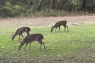 13500 Copper Hills Dr, Manchaca, TX 78652 - Photo 27