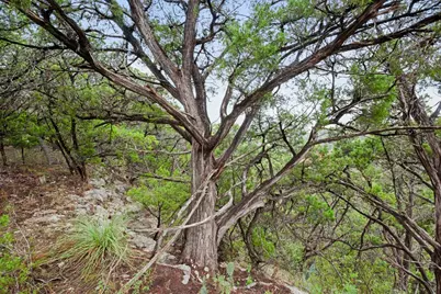 18211 Gregg Bluff Road, Jonestown, TX 78645 - Photo 9