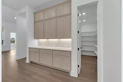 116 Lookout Point Drive, Liberty Hill, TX 78642 - Photo 11