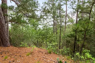 205 Hanauma Dr, Bastrop, TX 78602 - Photo 31