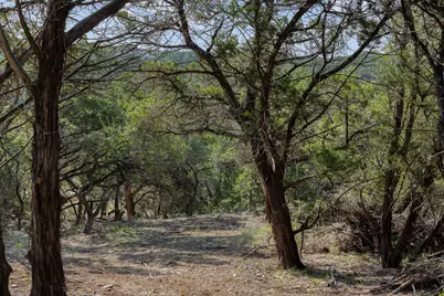 Tract 4 Mount Olive School Road, Wimberley, TX 78676 - Photo 19