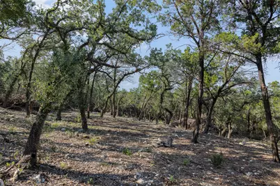 Tract 4 Mount Olive School Road, Wimberley, TX 78676 - Photo 5