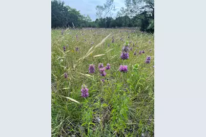 1745 County Road 2773, Lometa, TX 76853 - Photo 17