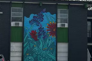 5909 Bolm Rd, Austin, TX 78721 - Photo 15