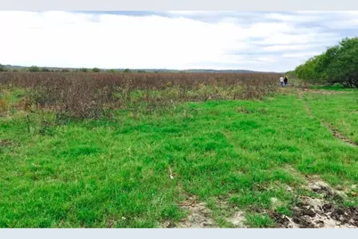 16001 Richards Drive, Del Valle, TX 78617 - Photo 3