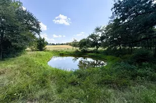 8954 Co Rd 353, Gause, TX 77857 - Photo 27