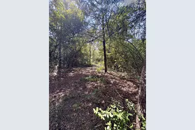 8954 County Road 353, Gause, TX 77857 - Photo 29