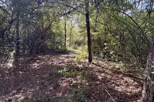 8954 Co Rd 353, Gause, TX 77857 - Photo 29