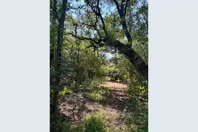 8954 County Road 353, Gause, TX 77857 - Photo 31