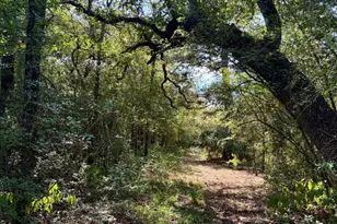 8954 Co Rd 353, Gause, TX 77857 - Photo 31