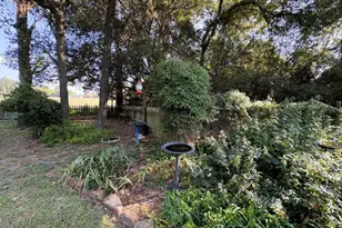 8954 Co Rd 353, Gause, TX 77857 - Photo 21