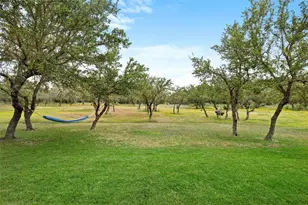 426 Preiss Ranch Rd, Blanco, TX 78606 - Photo 33