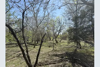 Tbd Anchor Ranch Loop, Flatonia, TX 78941 - Photo 9