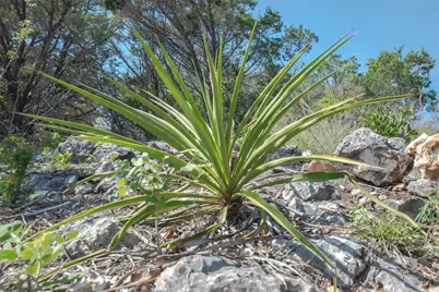 3470 Summit Drive, New Braunfels, TX 78132 - Photo 11