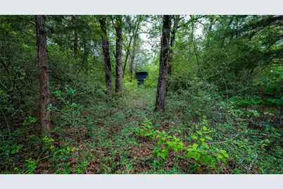 1470 22 Hills Road, Gause, TX 77857 - Photo 21