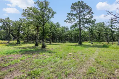 305 Cistern Road, Rosanky, TX 78953 - Photo 5