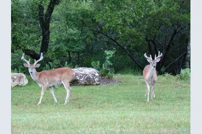 424 Coventry  (Lot  234) Road, Spicewood, TX 78669 - Photo 19