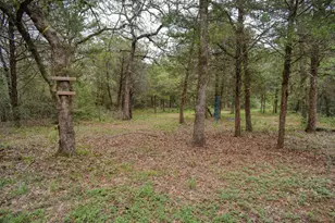 247 Campfire Way, Smithville, TX 78957 - Photo 39