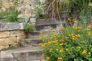 522 Circle Dr, Sunrise Beach, TX 78643 - Photo 21