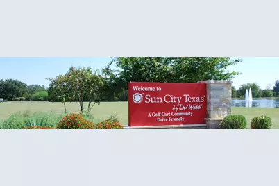 113 Bass Street, Georgetown, TX 78633 - Photo 25