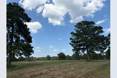 170 Split Oak Road, Smithville, TX 78957 - Photo 15